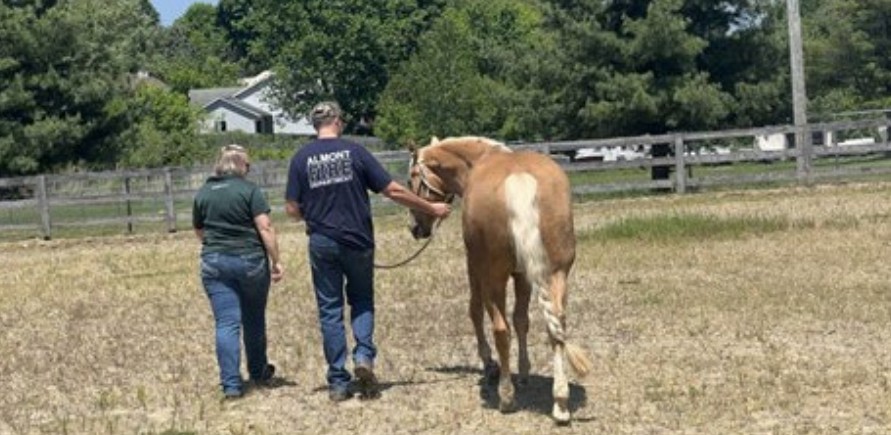 A first responder leads a horse while accompanied by a handling expert.jpg
